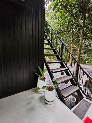 สถานีน้ำหวานรีสอร์ท น้ำตกอ้ายเขียว in プロンキリ