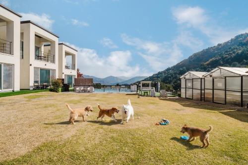 Exterior view, Gapyeong Gaedaek Pension in Sang-myeon