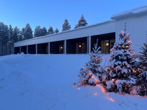 Arctic Circle Holiday homes II 4