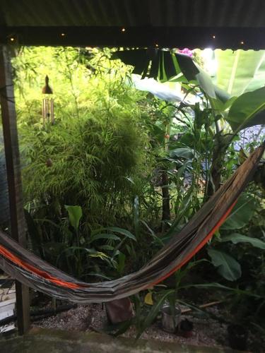 arte natureza in São João do Rio Vermelho