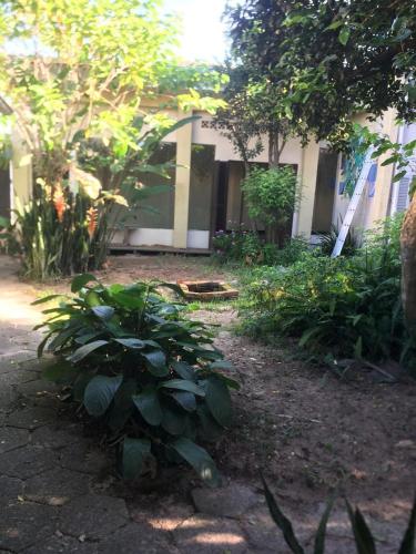 arte natureza in São João do Rio Vermelho