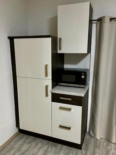 virtuve, PHENIX Alpin Apartment Kreischberg in Laßnitz Bei Murau