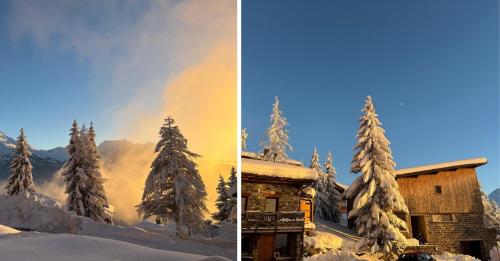 Chalet mountain and dog friendly hot tub in Les Echines Dessous