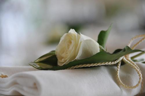 Weingut Hirschmugl - Domaene am Seggauberg - image 2