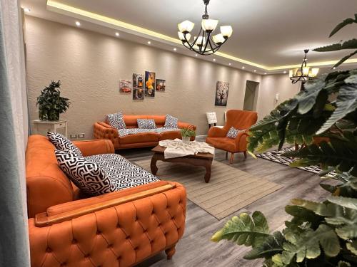 Sweet home in maadi, Le Caire