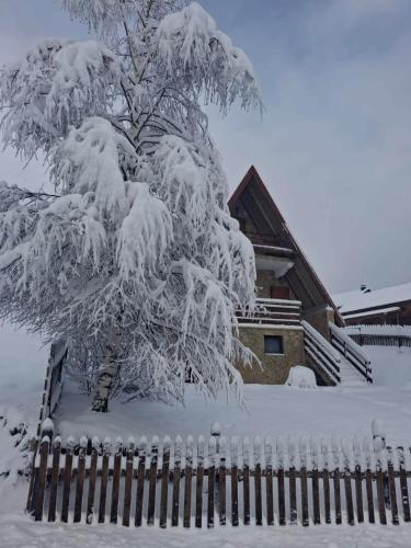 Sunny Slope cottage-vikendica "Sunčana padina" (Sunny Slope cottage-vikendica "Suncana padina") in Dolovi Lalevića