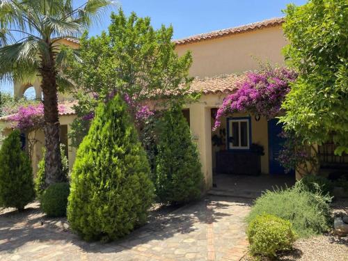 Finca La Alcolehuela in Vilches
