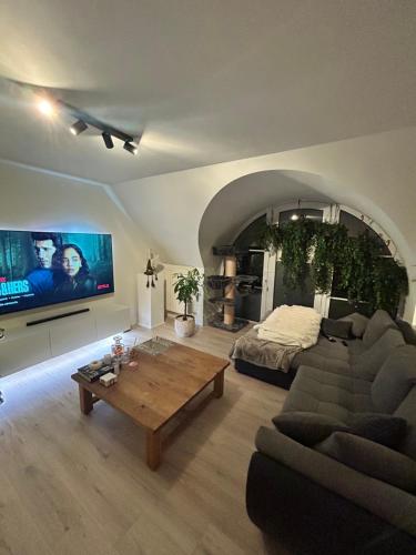 Luxury Rooftop Penthouse near Tomorrowland in Boom