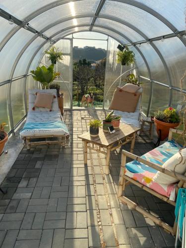 กิจกรรม, Coastal Vineyard Hideaway in เบนฟิกา