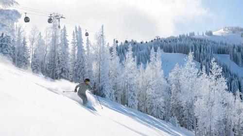 Modern 2BR 1BA with AC in the Heart of Aspen! - image 2