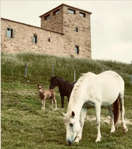 Equisoain Torre in Pirineo de Navarra