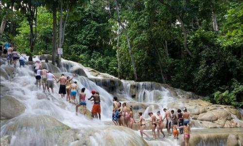 Cozy 5 of 5 Apartment in the Heart of Ocho Rios in Saint Ann's Bay
