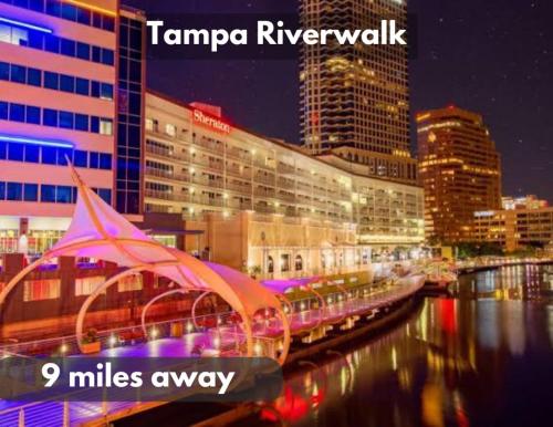 311-WIFI and Electric-Amazing Views in Tampa, USA