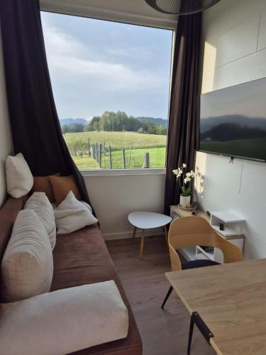 Tiny House Auszeit in Sankt Nikola An Der Donau