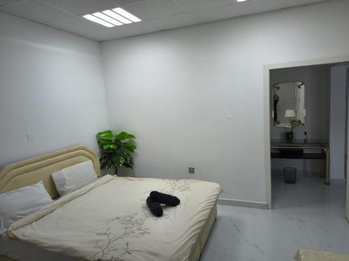 Villa Laila in Madinat Zayid