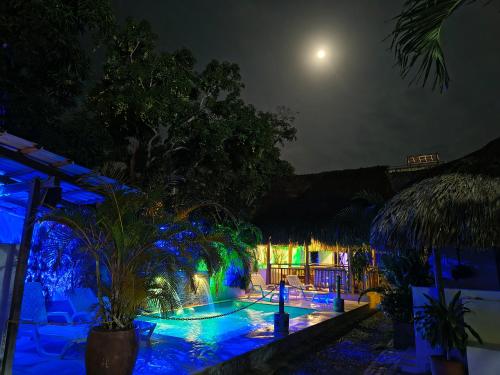 El Leon Feliz Palomino