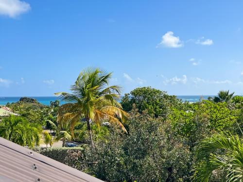 Mango Rouge, 2 bedrooms & pool in Saint Martin