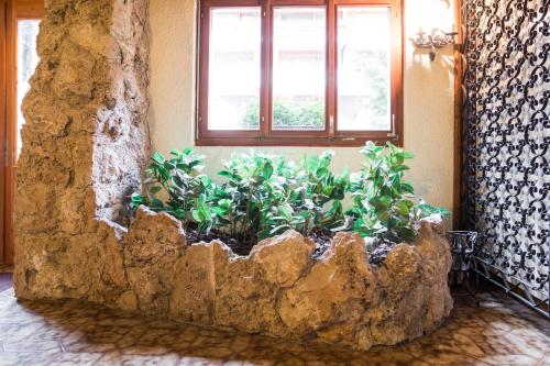 Apartment Mondzeu D034 - image 9