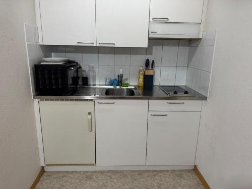 Apartment in central Lucerne