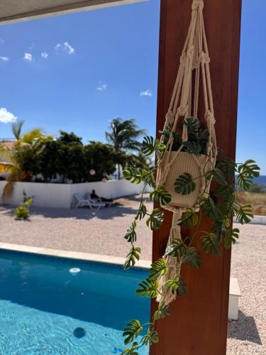 New villa Caribbean Pearl in Лагун