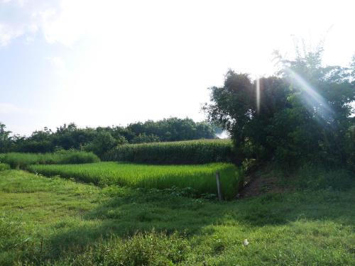 Loei Airport Homestay
