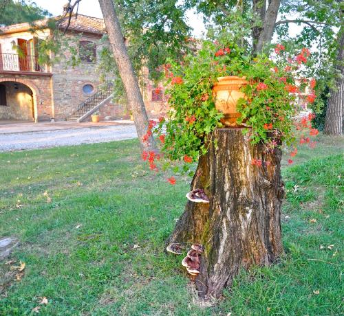 Morami Wine Agriturismo - image 2