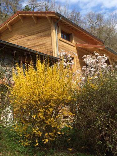 Les Sittelles de Bamboche - Accommodation - Saint-Symphorien-sur-Coise