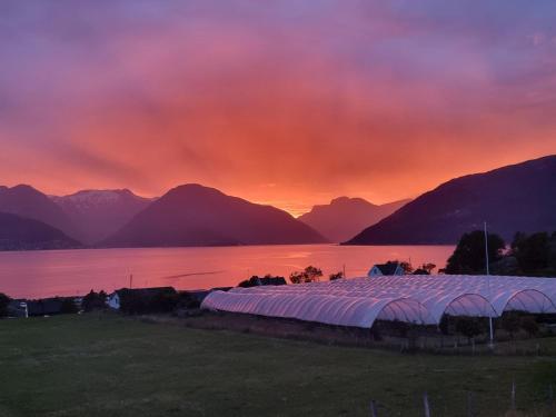 Навколишнє середовище, Koselig ved Fjorden - Vangsnes in Вангснес
