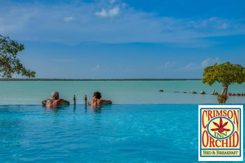 playa, The Crimson Orchid Inn at Orchid Bay in Orchid Bay