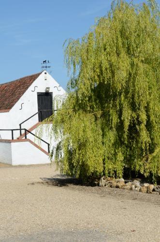 Willow Tree Farm 1
