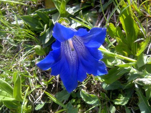Allgaeublick-App23-Gaestehaus-in-Bad-Hindelang - image 8