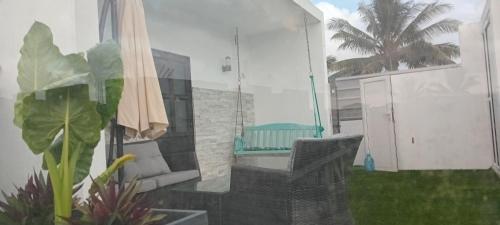 Colocasia, Maison Blanche, Pamplemousses in Pointe aux Cannoniers