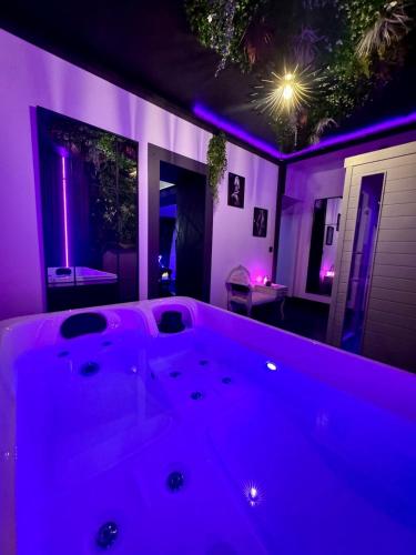 Love room spa et bien etre avec jacuzzi et sauna in Cosse-le-Vivien