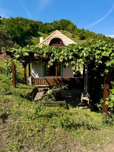 Casa din Pripoara in Sangeorz-Bai