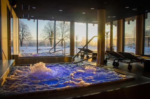 Apkārtne, Amenity Hotel & Resort Ceska Kanada in Nova Bistrice