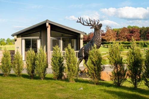 Зручності, Finest Retreats - Silverwood Hideaway Lodge in Rait