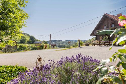 Weingut & Buschenschank Pölzl in Großklein, Österreich