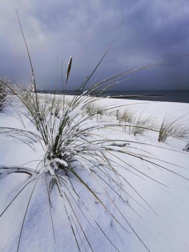 Beach, ruhige 3-Raum-Wohnung "BODDENBLICK" mit Balkon und Terrasse in Zingst