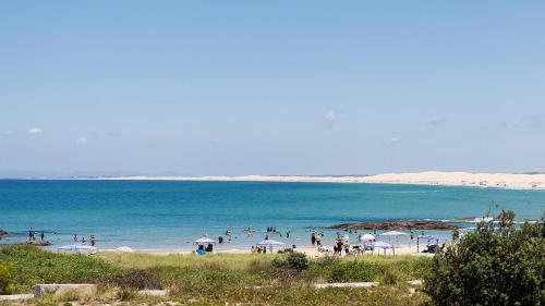 沙灘, Absolute Birubi Beachfront in 安娜灣