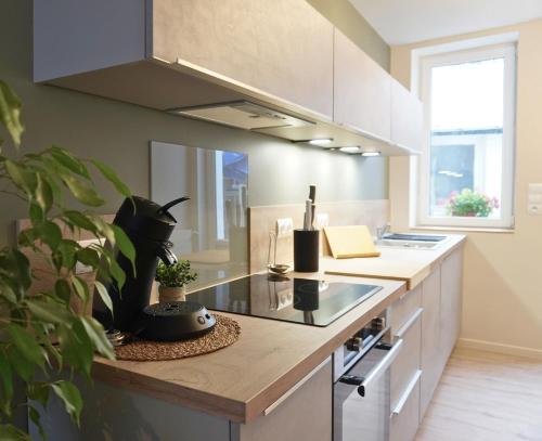 Maison située au coeur de Romorantin - Location saisonnière - Romorantin-Lanthenay