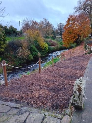 River View at Silver River in Kinnitty (Offaly)