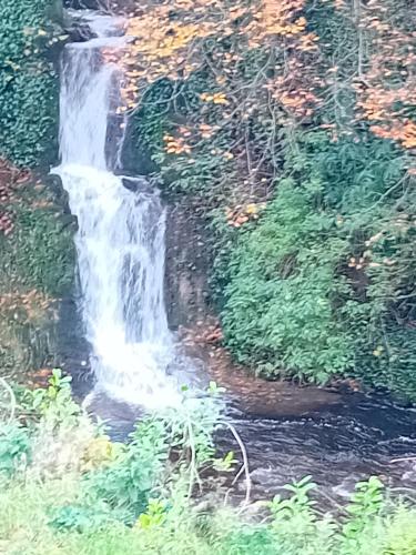 River View at Silver River in Kinnitty (Offaly)