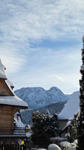 Apartament Waldi - blisko wyciag Butorowy oraz Polana Szymoszkowa - darmowy parking - Zakopane