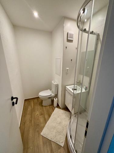 Apartmán Mlynská (Apartman Mlynska) in Cemerne