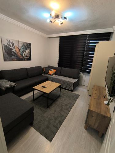 1 double bed, 1 sofa bed
