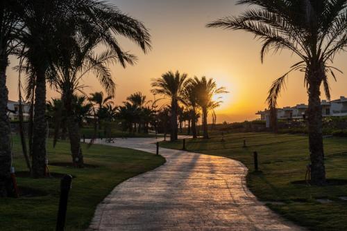 Chalet 1 bedrom in paradise ras sudr in Ras Sedr