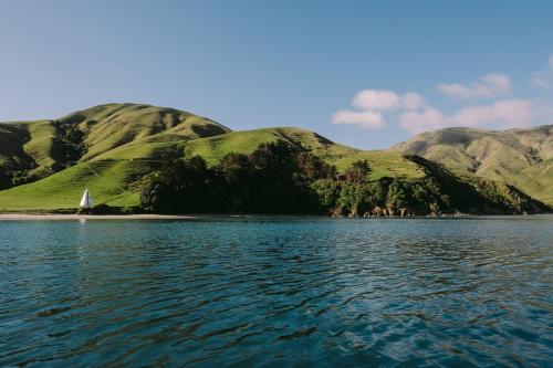 Surrounding environment, Arapawa Homestead in Bay of Many Coves