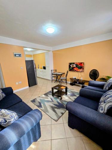 Dotări, VIP Residence Dominica - Pool and Ocean Views, 2 Minutes to Roseau in Roseau
