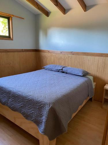 Cabaña Balmaceda en Panguipulli