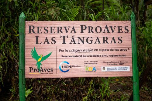 Las Tangaras Reserve in Andes